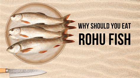 Why Should You Eat Rohu Fish: Rohu Fish Benefits .